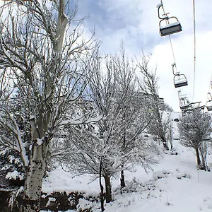Surynieve Zona Media Sierra Nevada